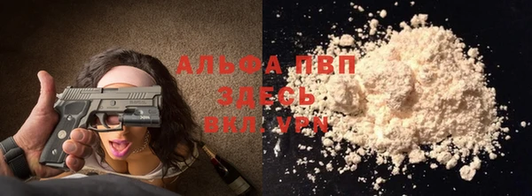 дмт Белокуриха