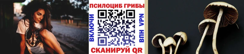 Галлюциногенные грибы Psilocybe  МЕГА ссылка  Елабуга  купить закладку 